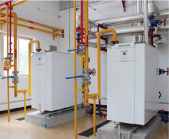 ����˹����ɭȫ�A������偠t�S����Ƭ