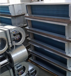 �����L�C�P��